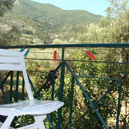 Galini Nikiana