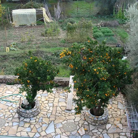 Galini *